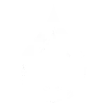 Precise Lab Services